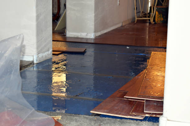 Professional Emergency Water Damage Restoration technician working in Olmsted Falls, OH